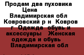 Продам два пуховика › Цена ­ 1 500 - Владимирская обл., Ковровский р-н, Ковров г. Одежда, обувь и аксессуары » Женская одежда и обувь   . Владимирская обл.